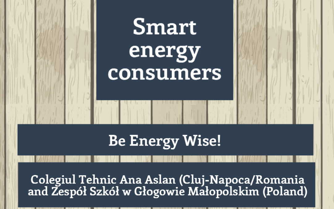 Online Energy Consumption Tool Kit for Teens